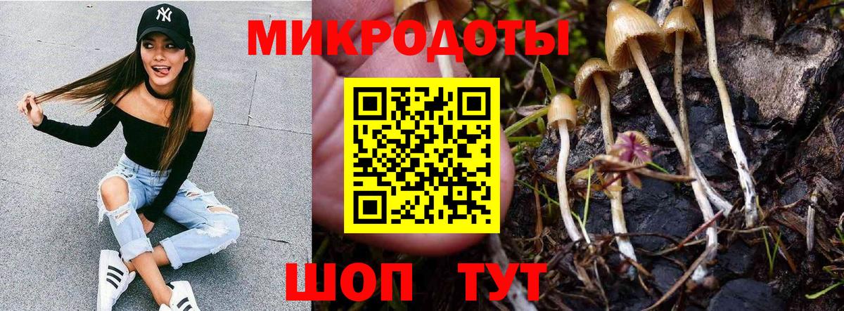 Псилоцибиновые грибы MAGIC MUSHROOMS  Вход с VPN  Новочебоксарск 
